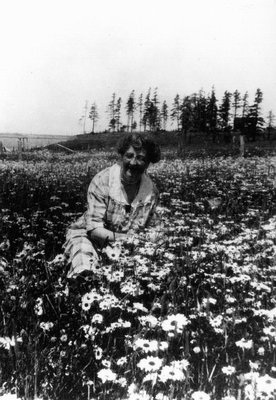 Montgomery in a field of flowers